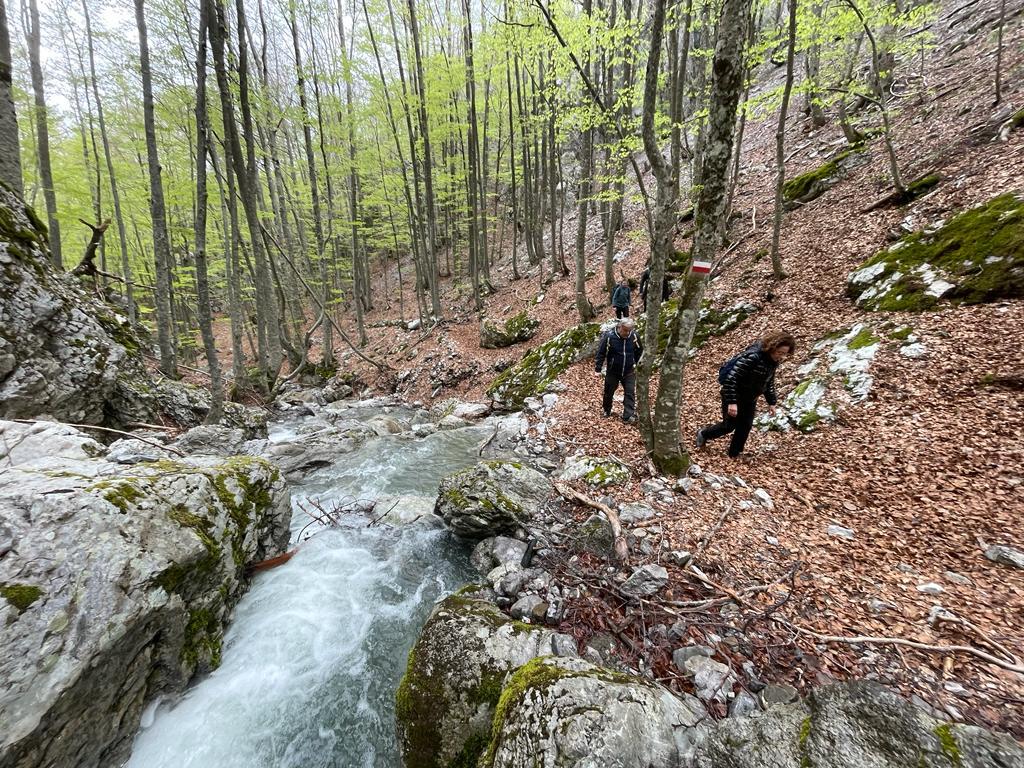 Percorso da seguire lungo uno dei torrenti sul Pollino