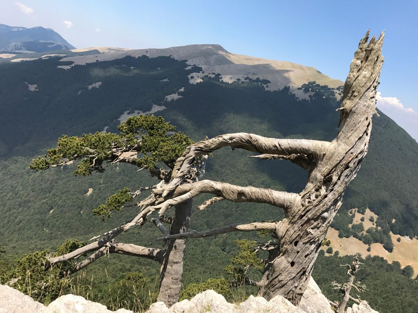 Cosa vedere sul Pollino: 5 luoghi da non perdere